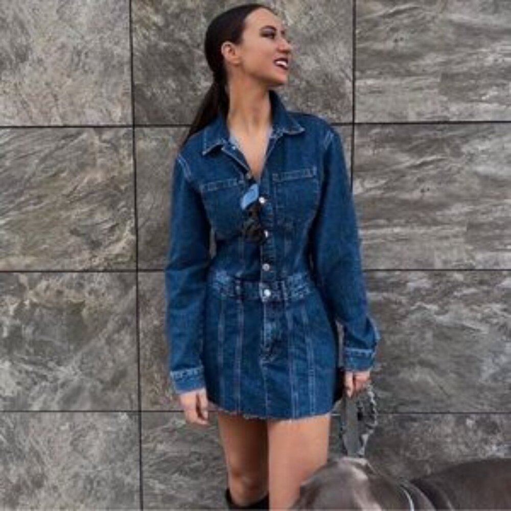 Zara Medium Blue Blogger's Favourite Denim Mini Dress Button Up Size XS